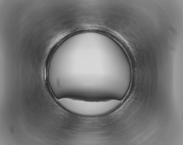 X0000112501269200908311445