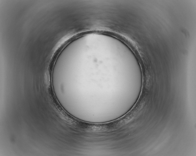 X0000112501271200908311445