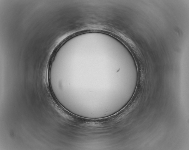 X0000112501272200908311445