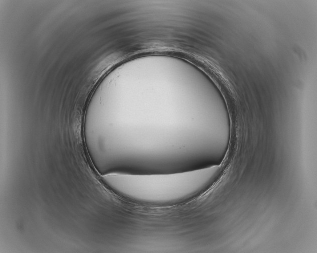 X0000112501273200908311445