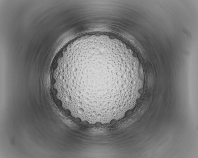 X0000112501274200908311445