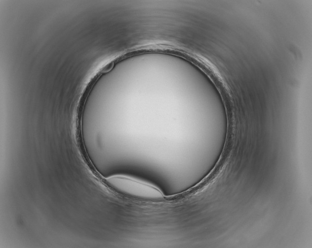 X0000112501277200908311444