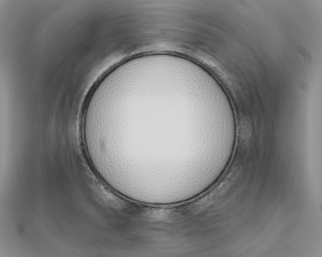 X0000112501278200908311444