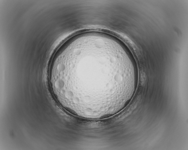 X0000112501279200908311444