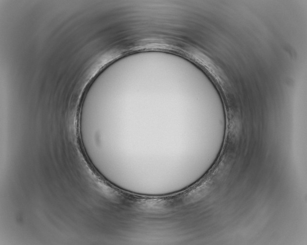 X0000112501282200908311444