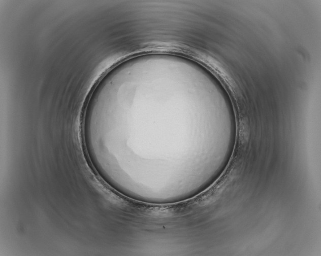 X0000112501283200908311444