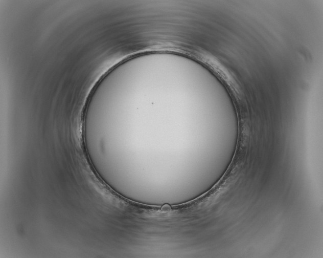 X0000112501284200908311444