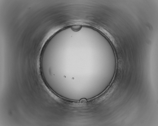 X0000112501285200908311444