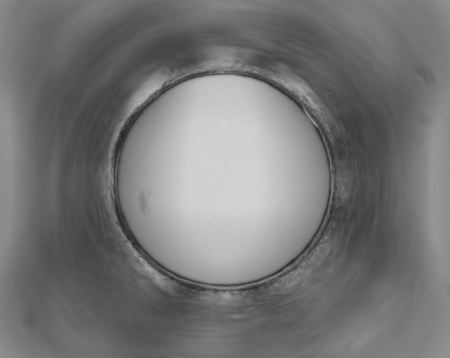 X0000112501286200908311444