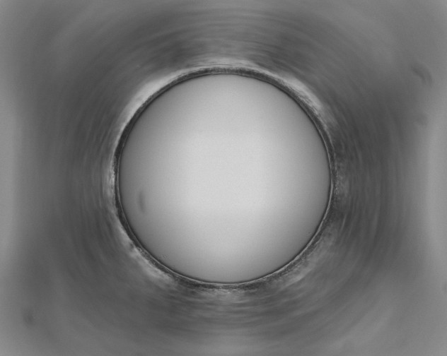 X0000112501287200908311444