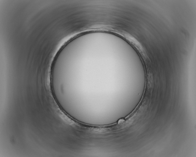 X0000112501288200908311444