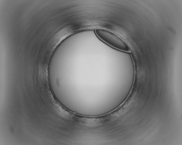 X0000112501289200908311444