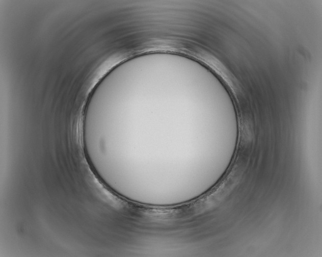 X0000112501290200908311444