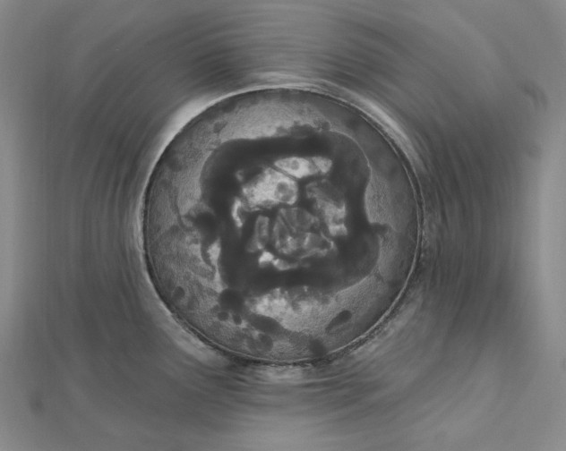 X0000112501291200908311444