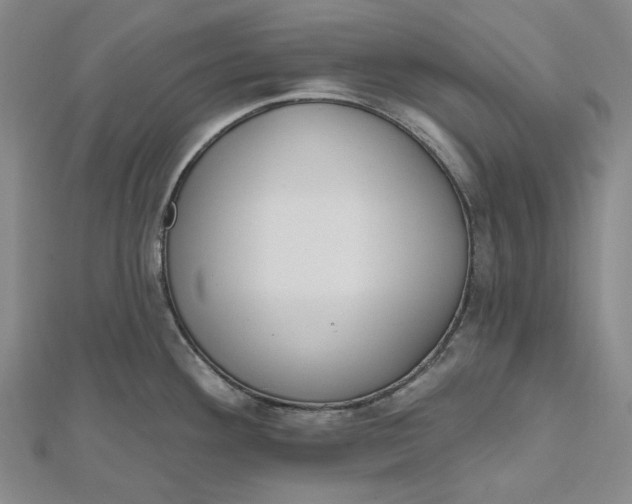 X0000112501292200908311444