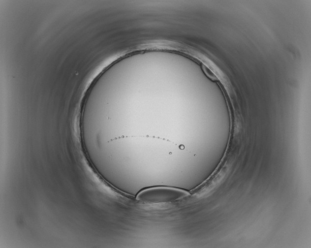 X0000112501293200908311444