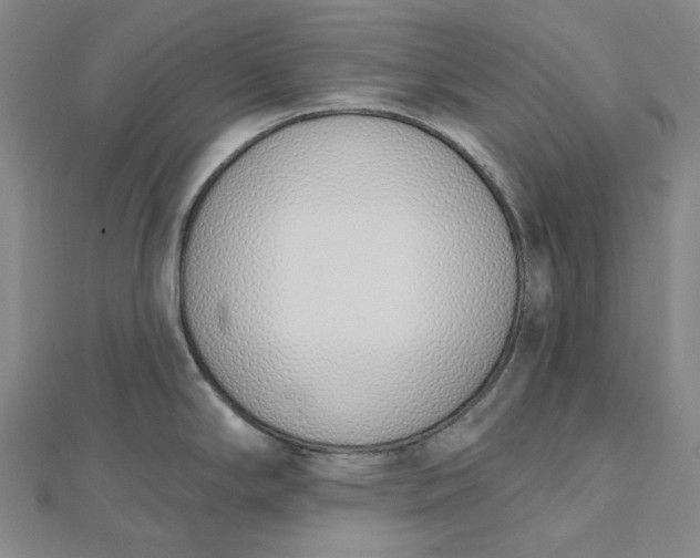 X0000112501294200908311444