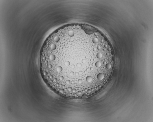 X0000112501295200908311444