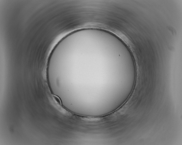 X0000112501296200908311444