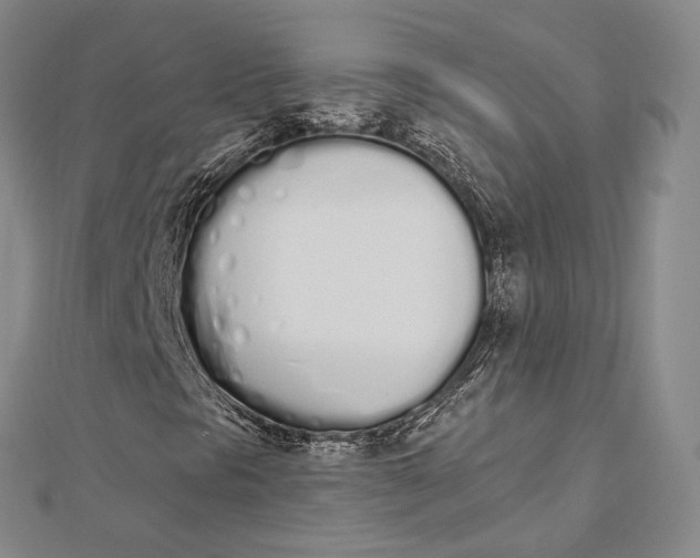 X0000112501297200908311444