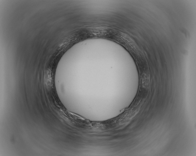 X0000112501298200908311444