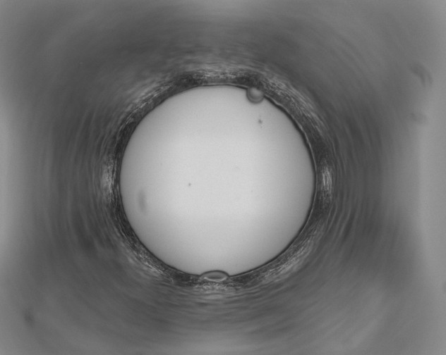 X0000112501300200908311444