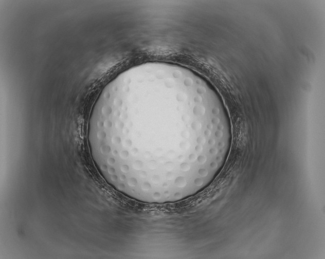 X0000112501301200908311444