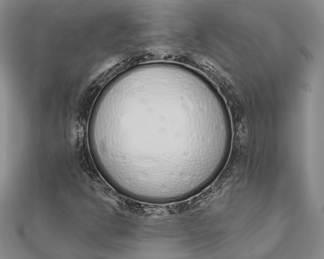 X0000112501302200908311444