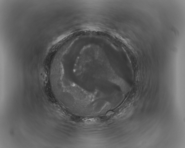 X0000112501303200908311444