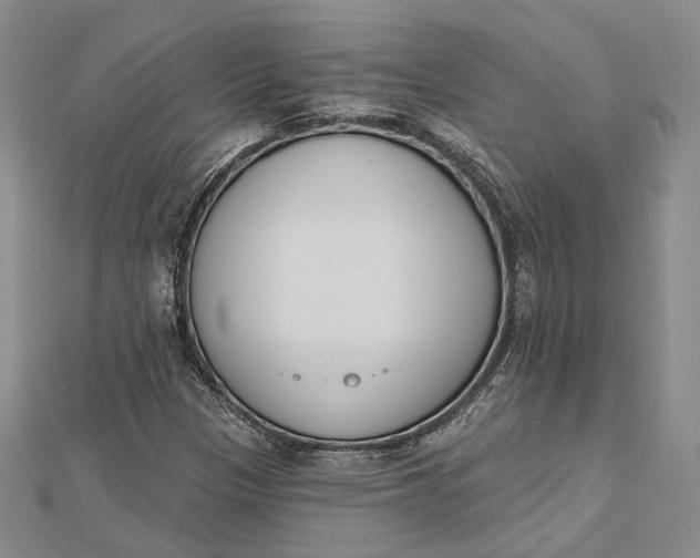 X0000112501305200908311444