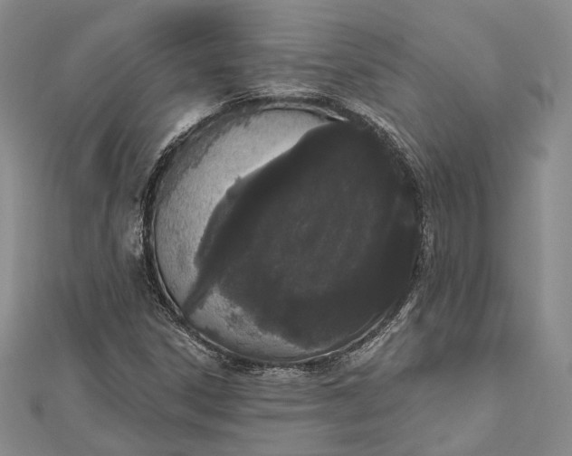 X0000112501306200908311444