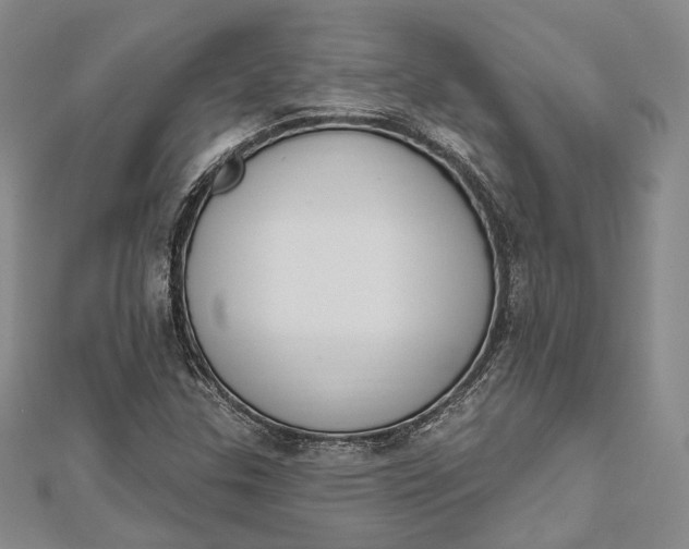 X0000112501307200908311444