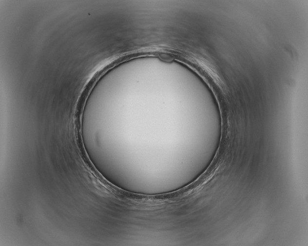 X0000112501308200908311444