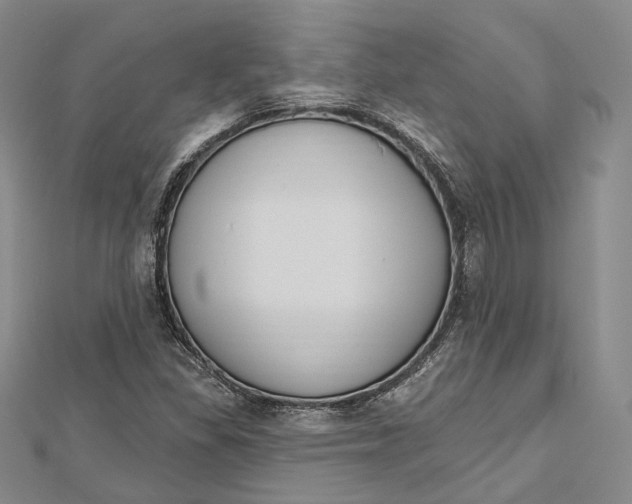 X0000112501309200908311444