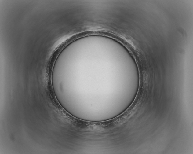 X0000112501311200908311444