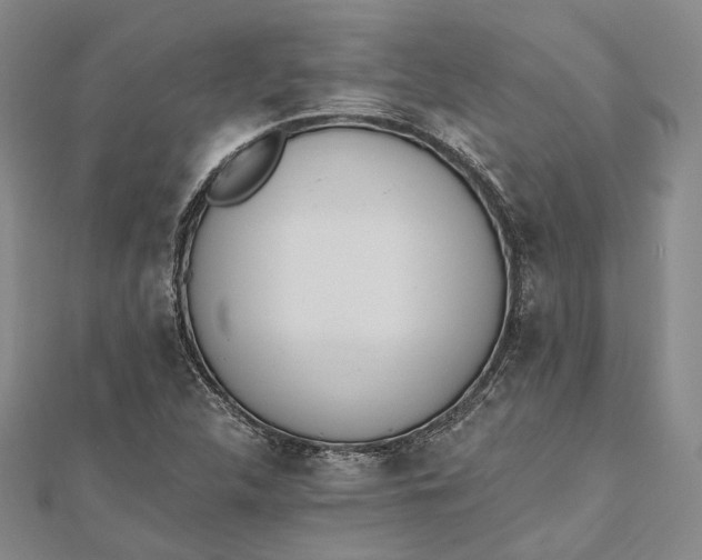 X0000112501312200908311444