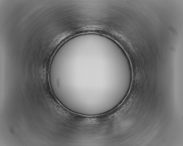 X0000112501313200908311444