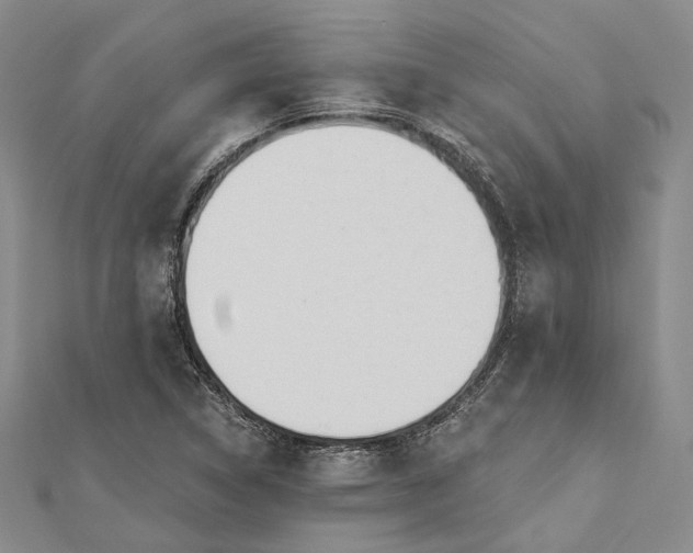 X0000112501314200908311444