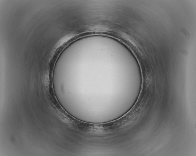 X0000112501315200908311444