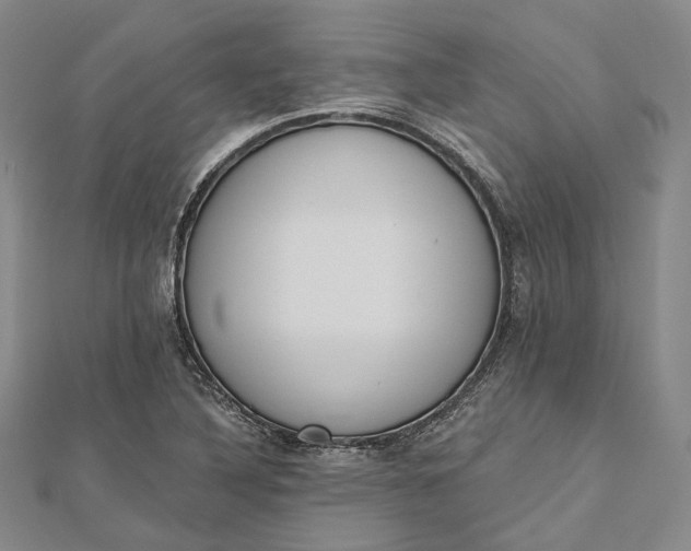 X0000112501316200908311444