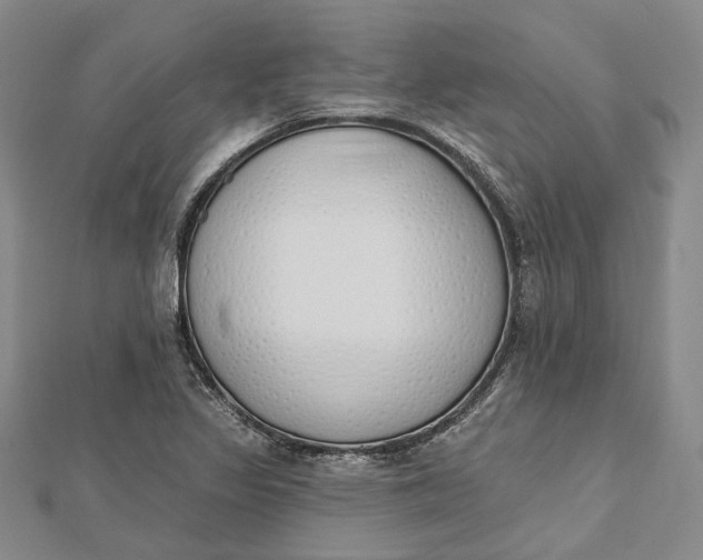 X0000112501317200908311444