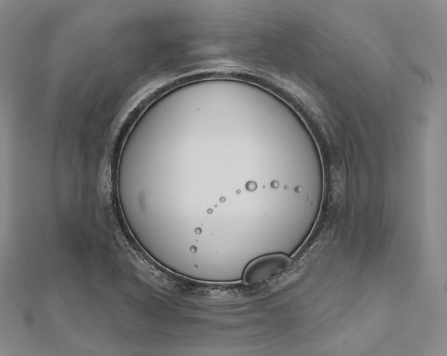 X0000112501318200908311444