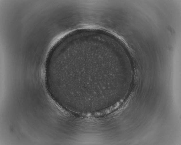 X0000112501319200908311444