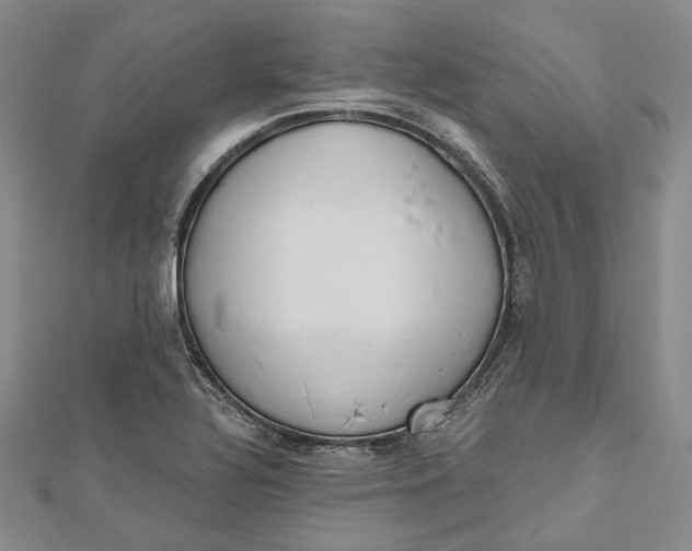 X0000112501320200908311444