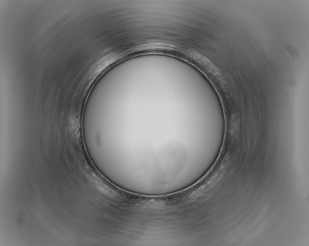 X0000112501321200908311444