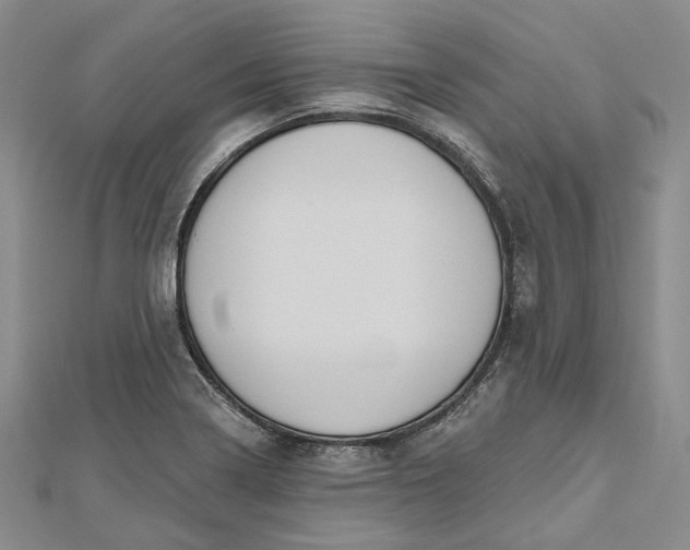 X0000112501322200908311444