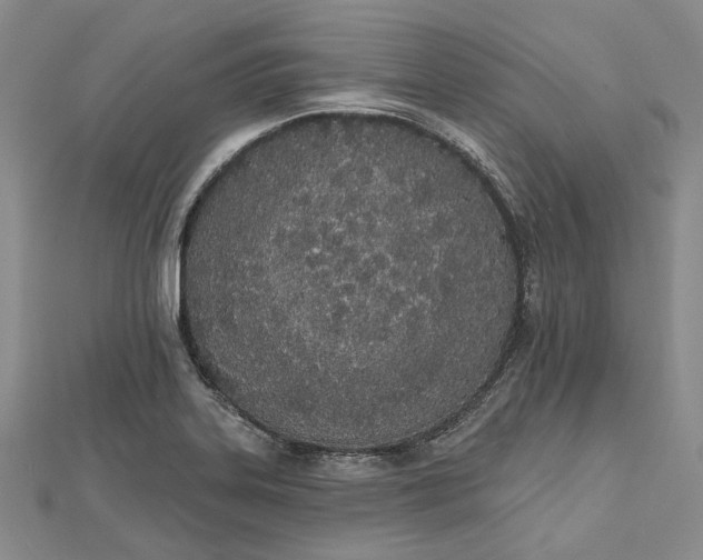 X0000112501323200908311444