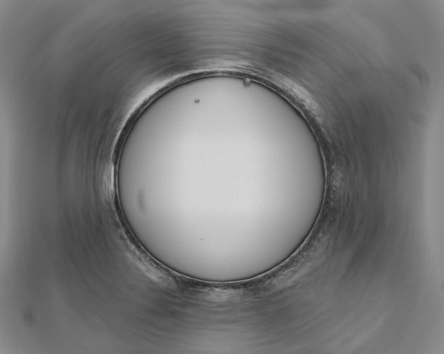 X0000112501324200908311444