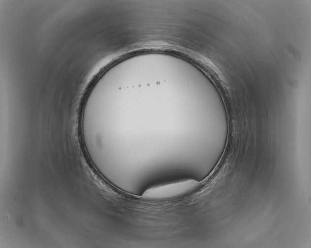 X0000112501326200908311444