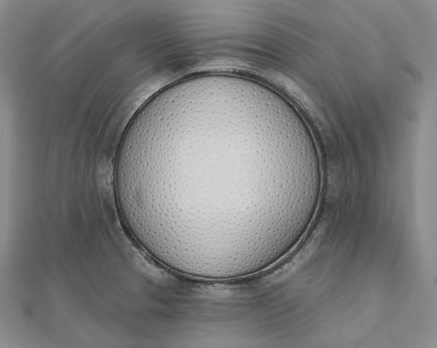 X0000112501329200908311444